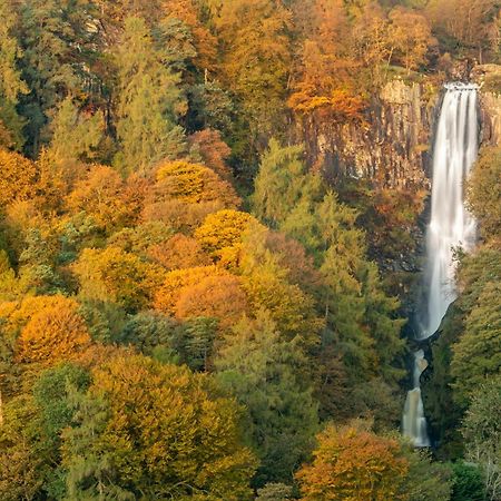 Odli Glamping - Deri Apartman Welshpool Kültér fotó