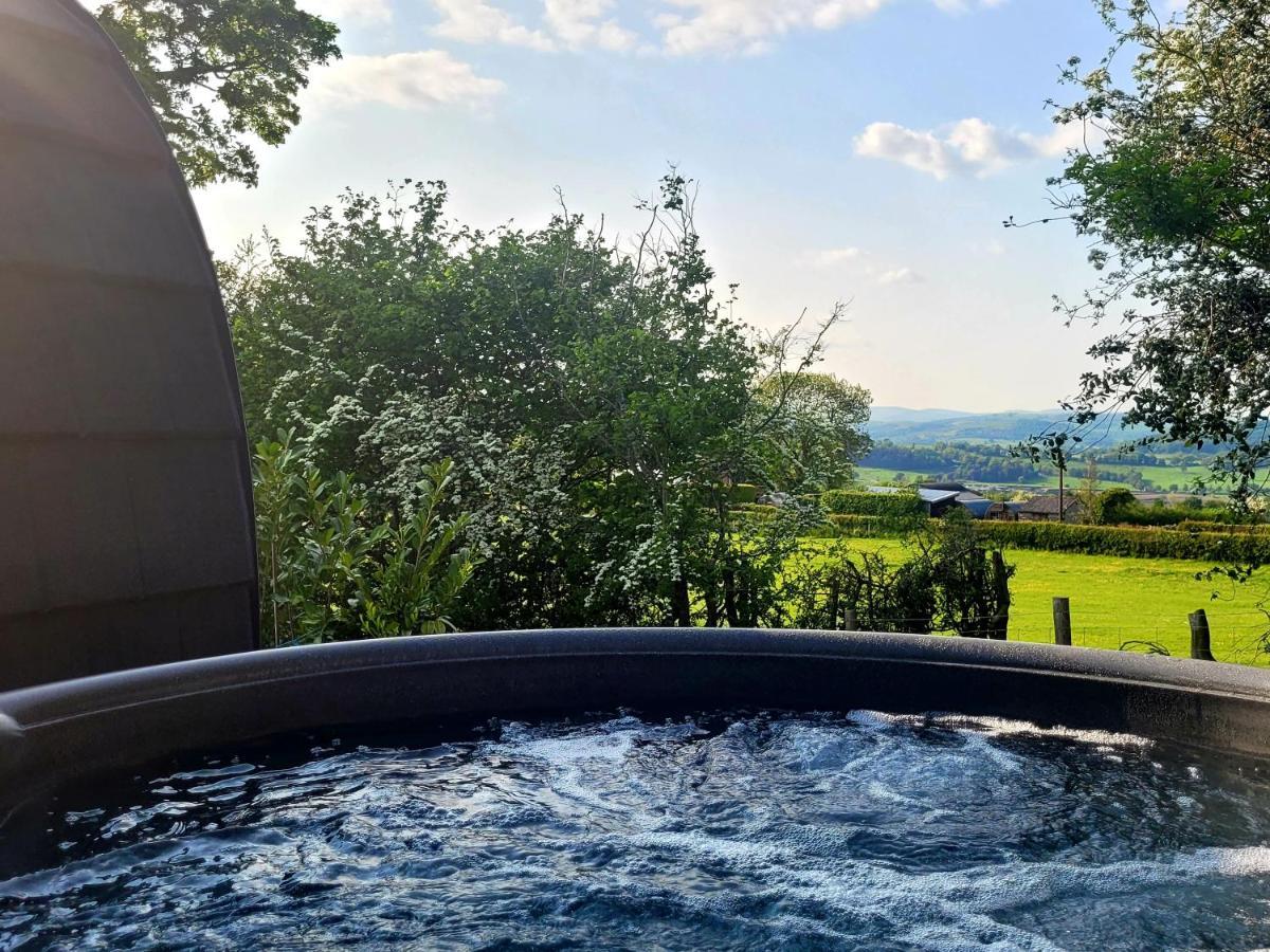 Odli Glamping - Deri Apartman Welshpool Kültér fotó